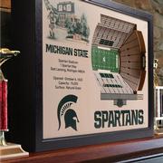 Michigan State Spartan Stadium Wall Art